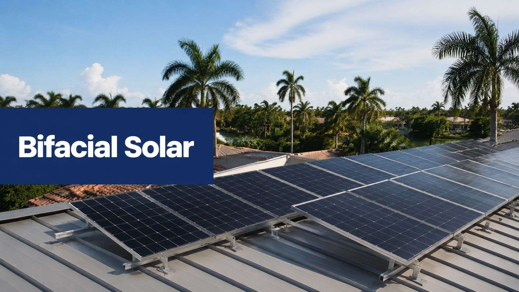 bifacial-solar-panels-rooftop-solar - Commercial + Residential Solar Power Florida Bifacial solar panels installed on a metal rooftop with a tropical landscape and palm trees in the background, under a clear sky.